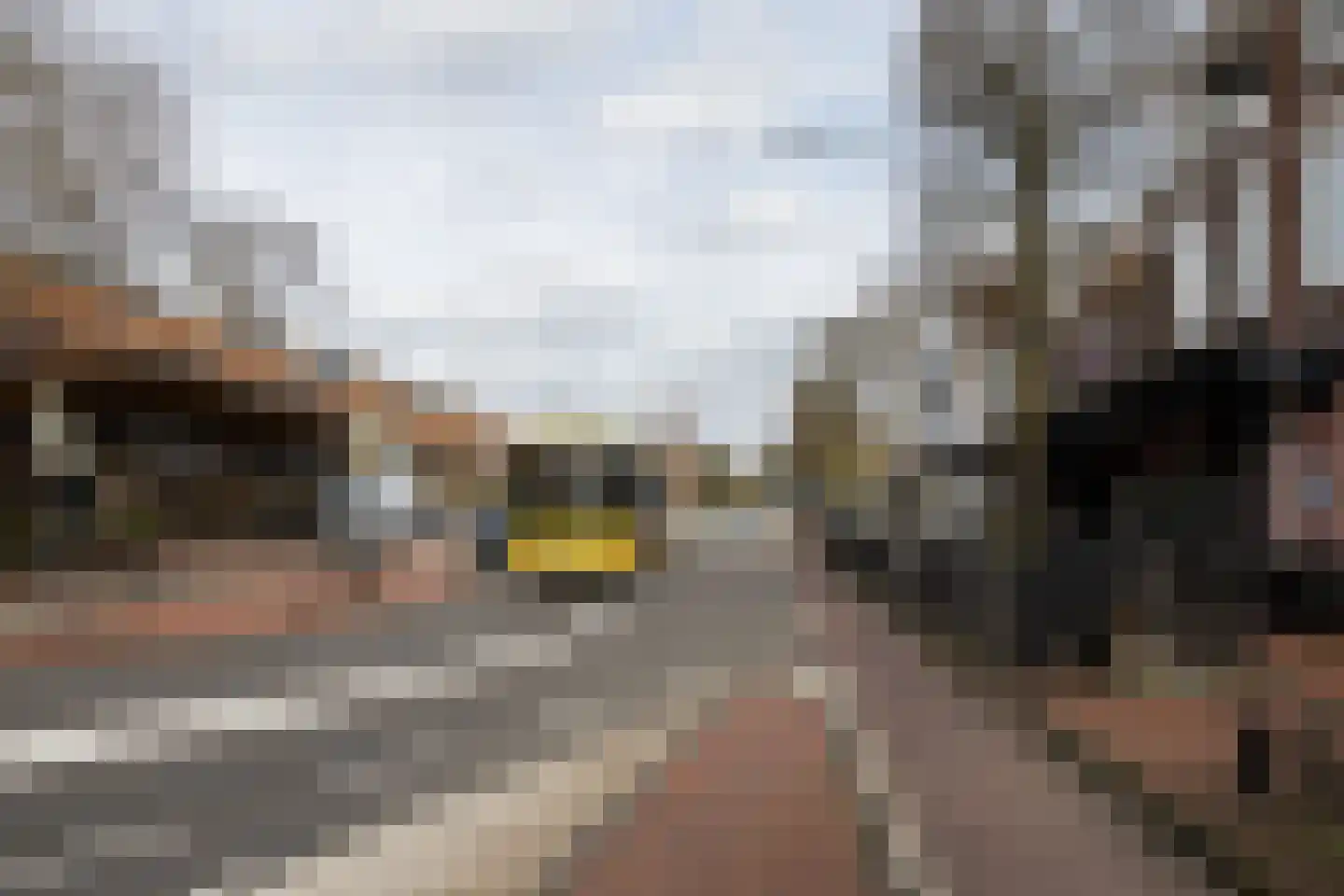 Bethaniëlaan 8 Zeist thumbnail 42
