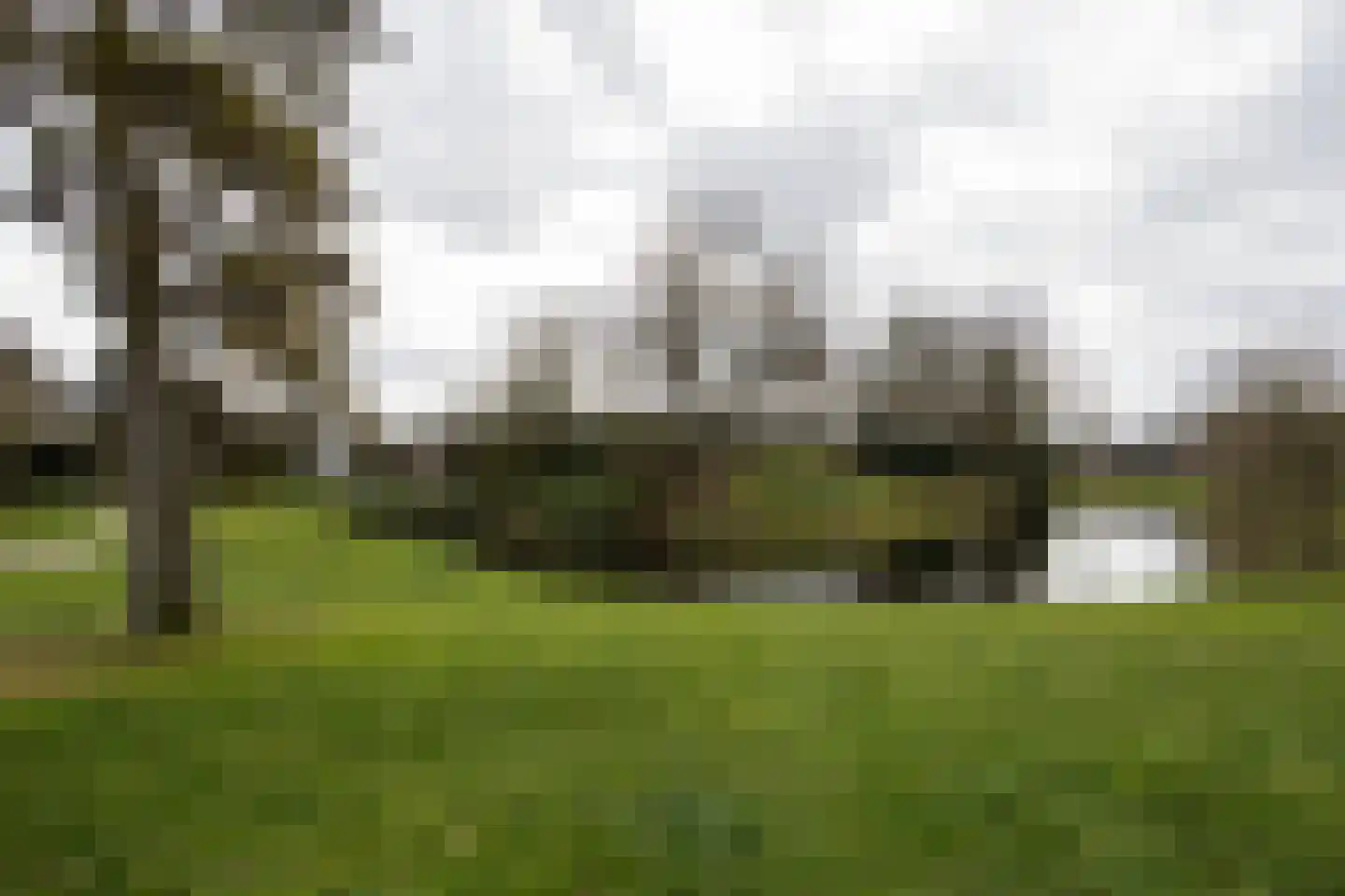 Bethaniëlaan 8 Zeist thumbnail 45