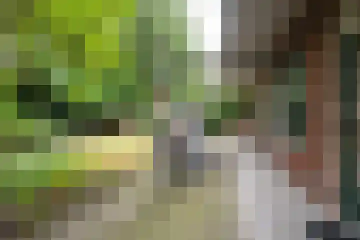 Bethaniëplein 11 Zeist thumbnail 20