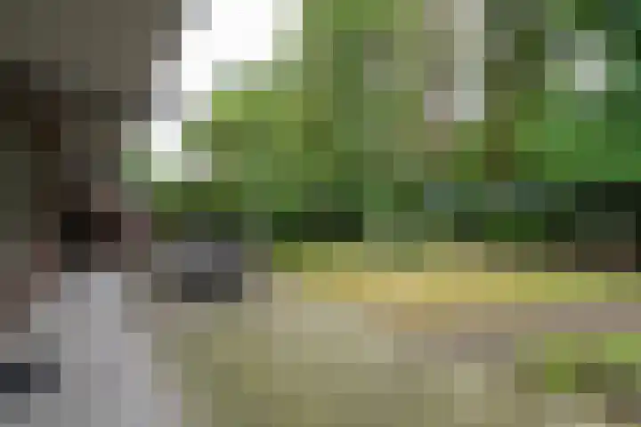 Bethaniëplein 11 Zeist thumbnail 21