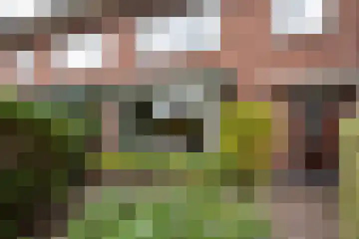 Bethaniëplein 11 Zeist thumbnail 5