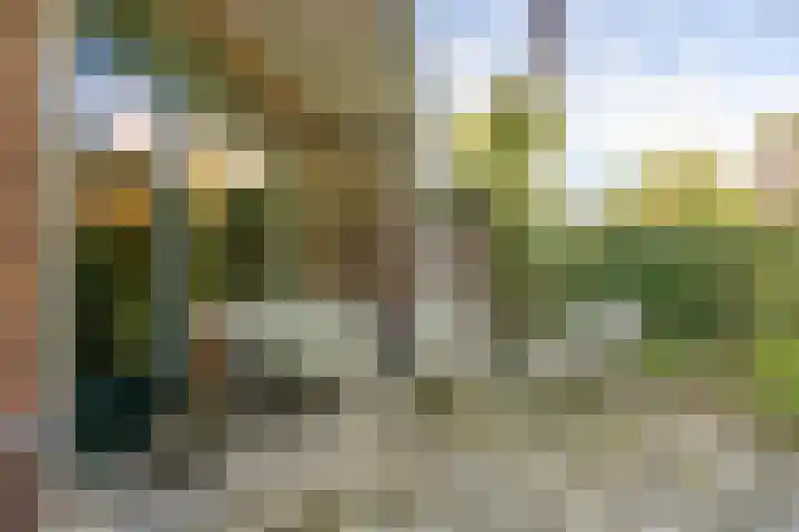 Bethaniëplein 13 Zeist thumbnail 17