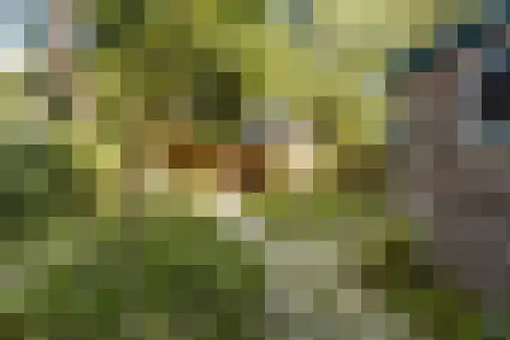 Bethaniëplein 13 Zeist thumbnail 18