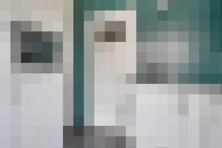 Bethaniestraat 13 's-Hertogenbosch thumbnail 20