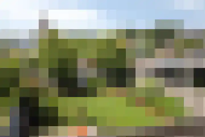 Bethaniëstraat 18 Stevensbeek thumbnail 33