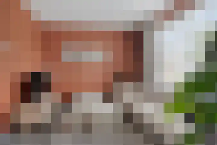 Bethaniëstraat 18 Stevensbeek thumbnail 9