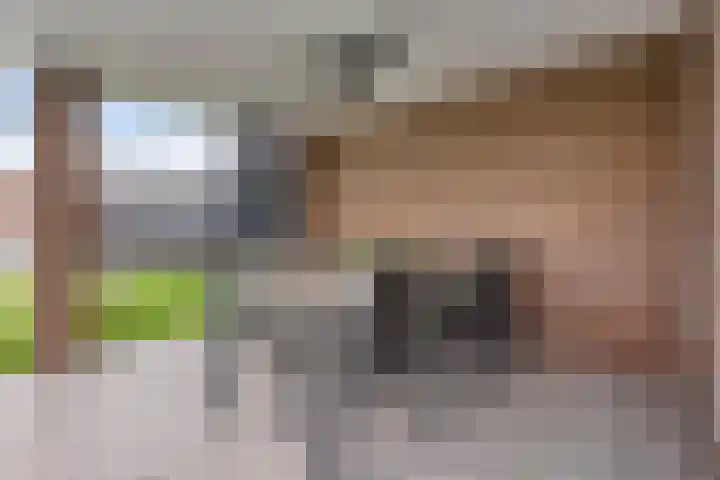 Bethaniëstraat 6 B Stevensbeek thumbnail 36