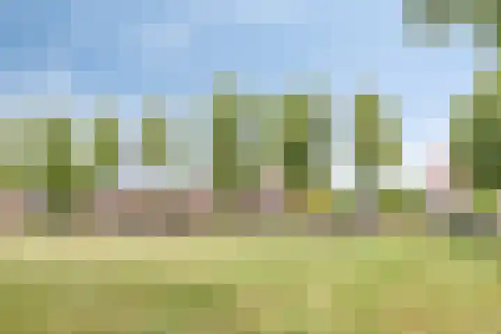 Bethaniëstraat 6 B Stevensbeek thumbnail 55
