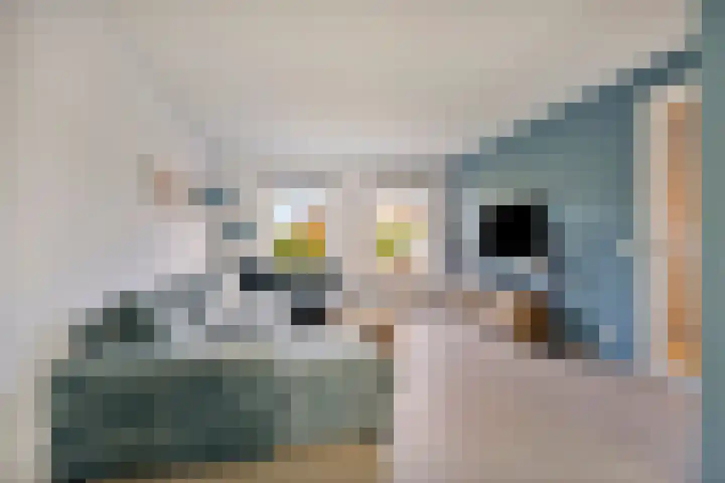 Bethaniëstraat 6 B Stevensbeek thumbnail 9