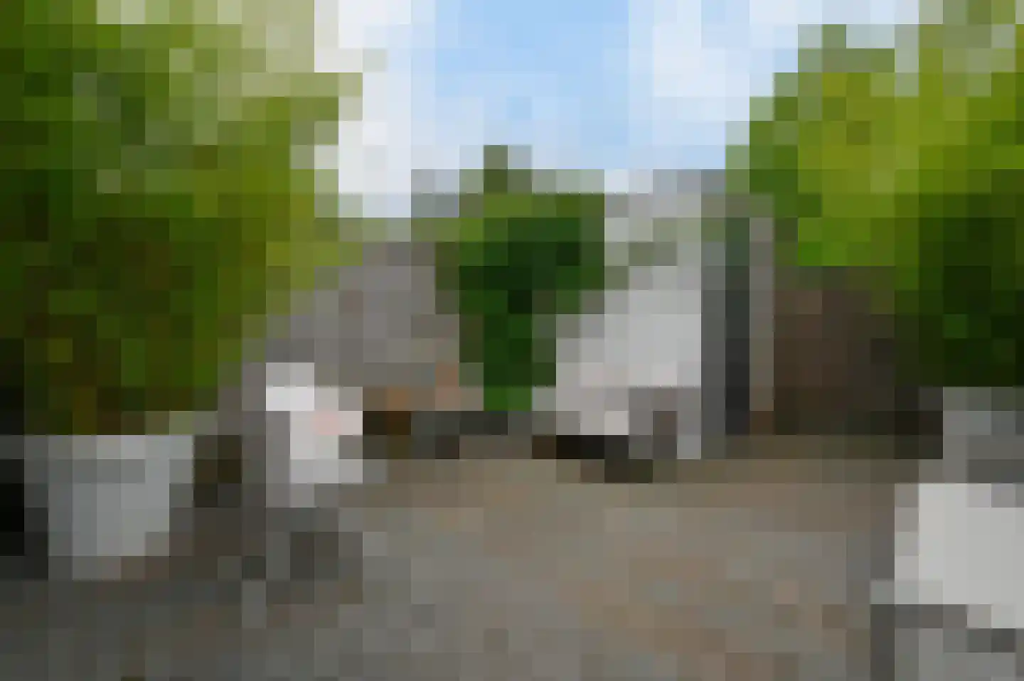 Bethel 12 Hooglanderveen thumbnail 21