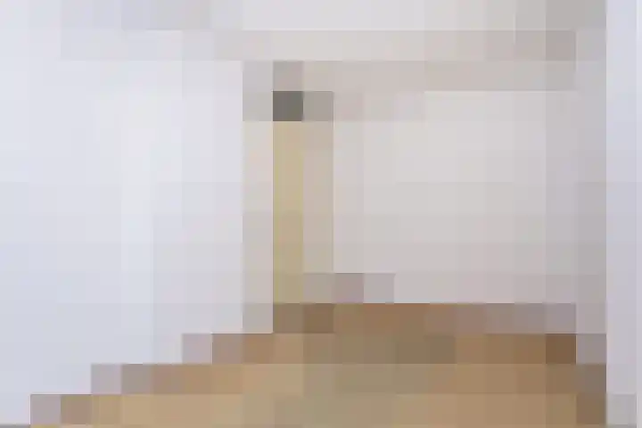 Bethelhof 3 Brunssum thumbnail 16