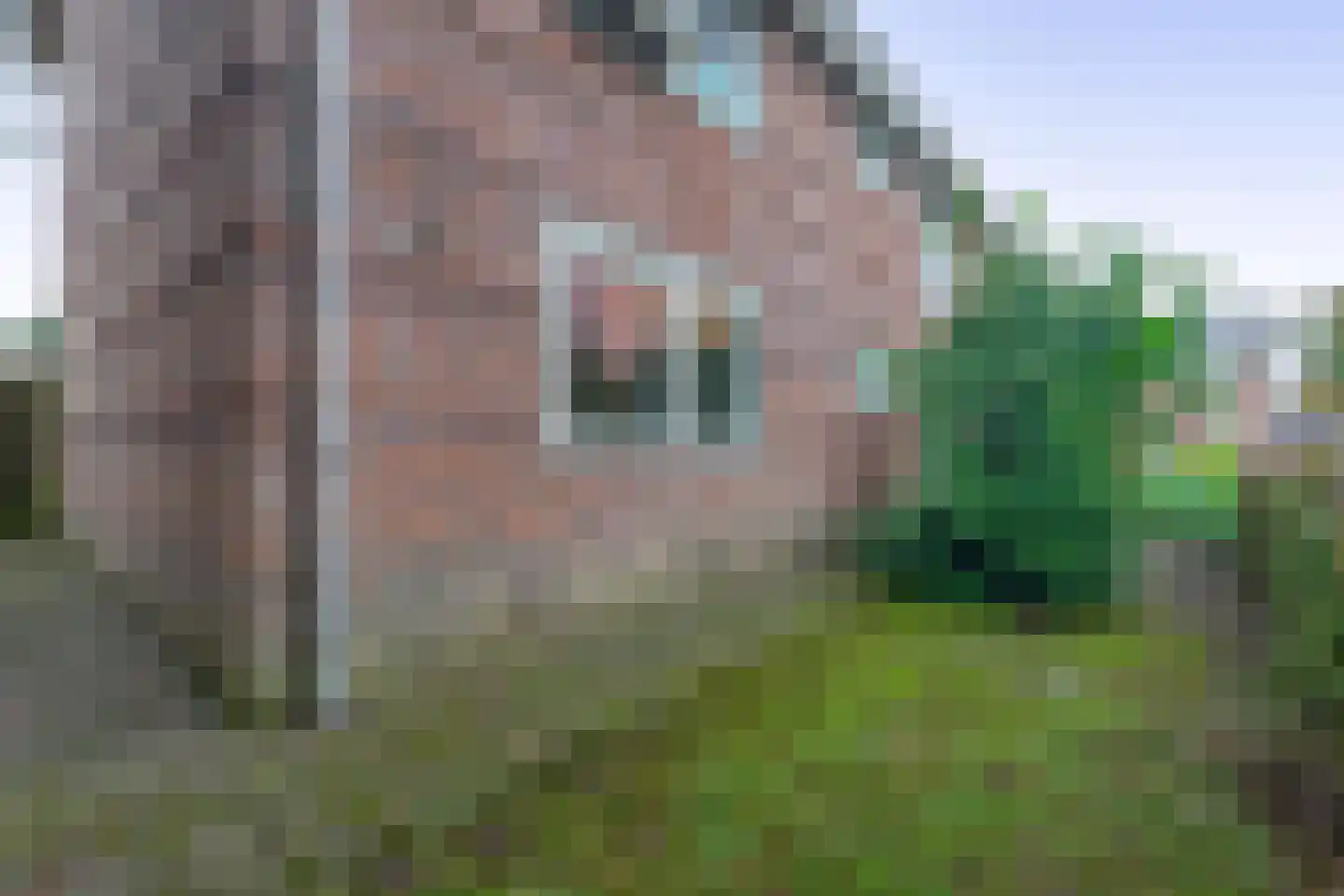 Bethelstraat 26 Zetten thumbnail 26
