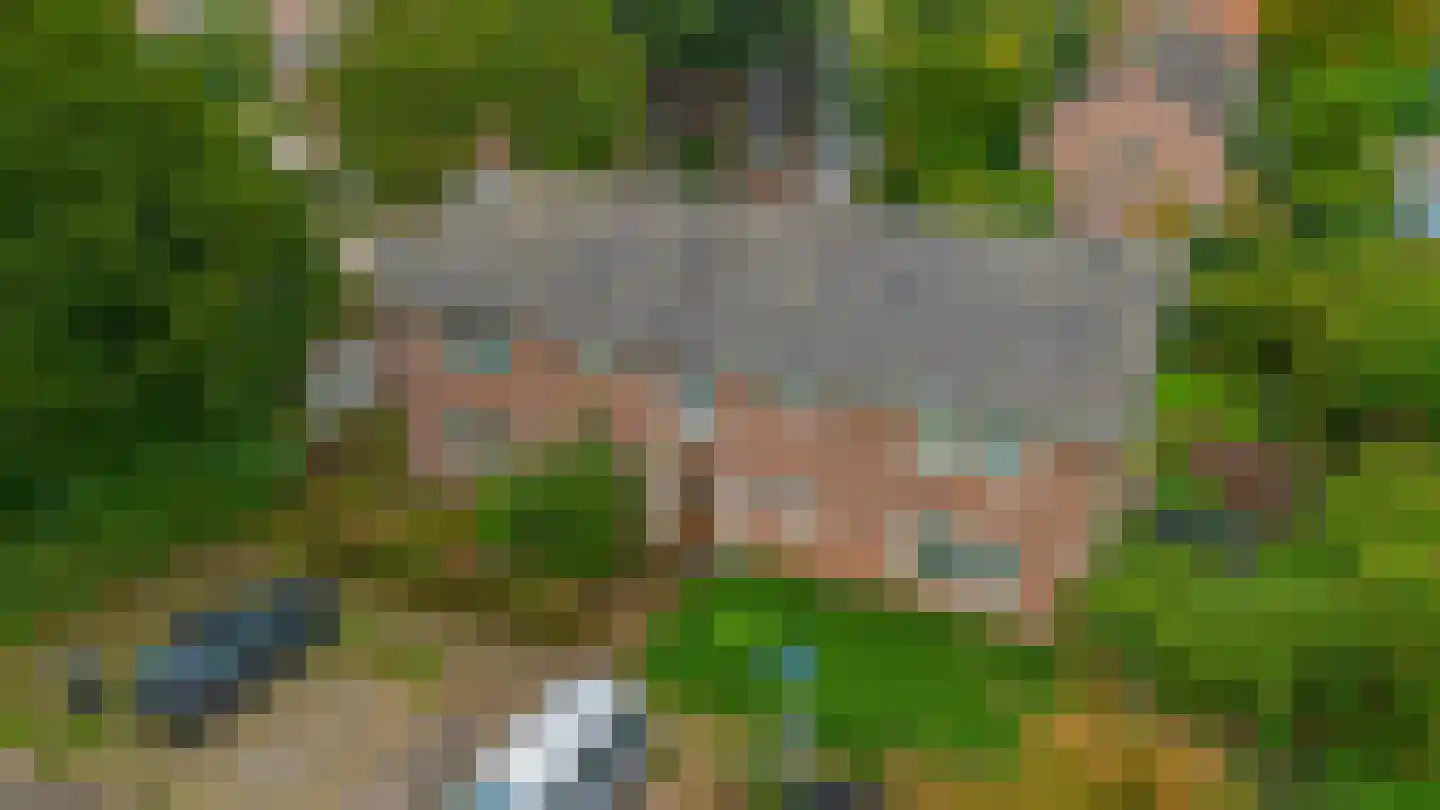 Bethelstraat 26 Zetten thumbnail 36