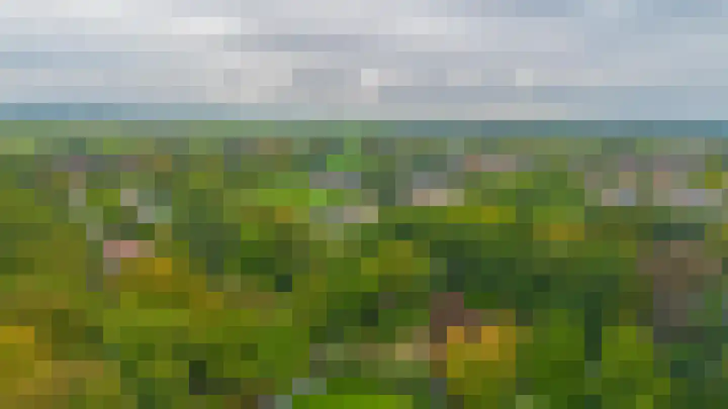 Bethelstraat 26 Zetten thumbnail 39
