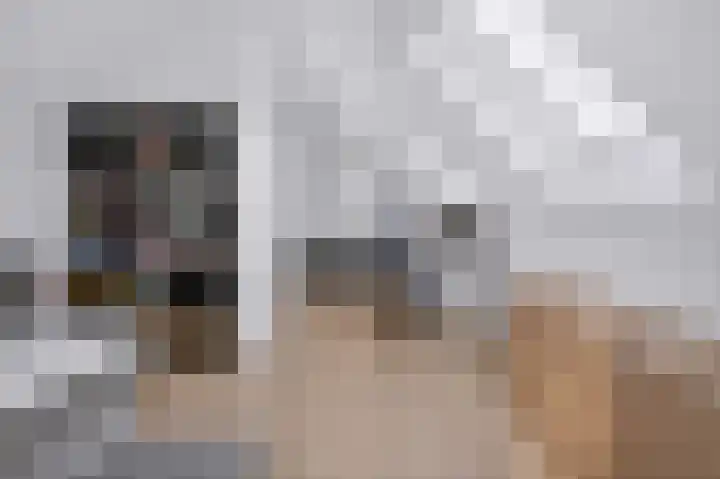 Bethesdahof 18 Laag-Soeren thumbnail 23