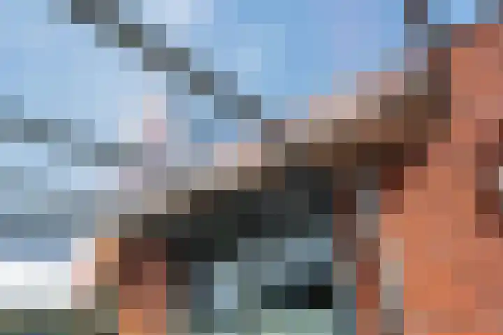 Bethesdahof 7 Laag-Soeren thumbnail 24