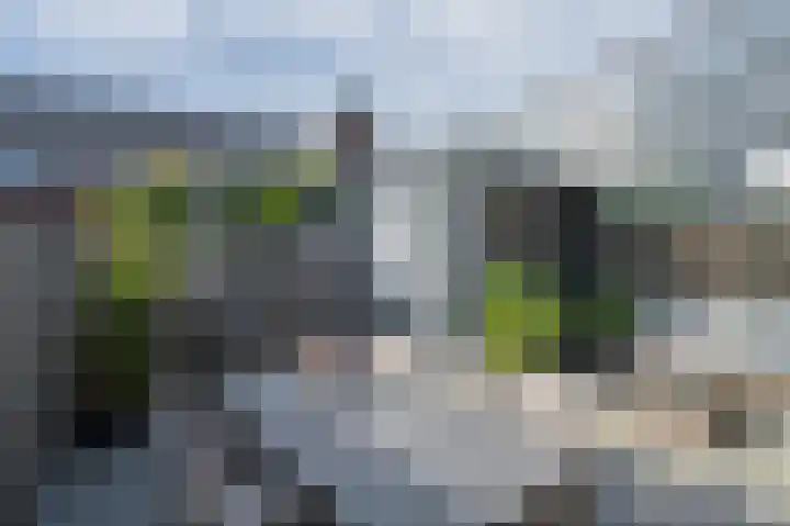 Bethesdahof 7 Laag-Soeren thumbnail 5