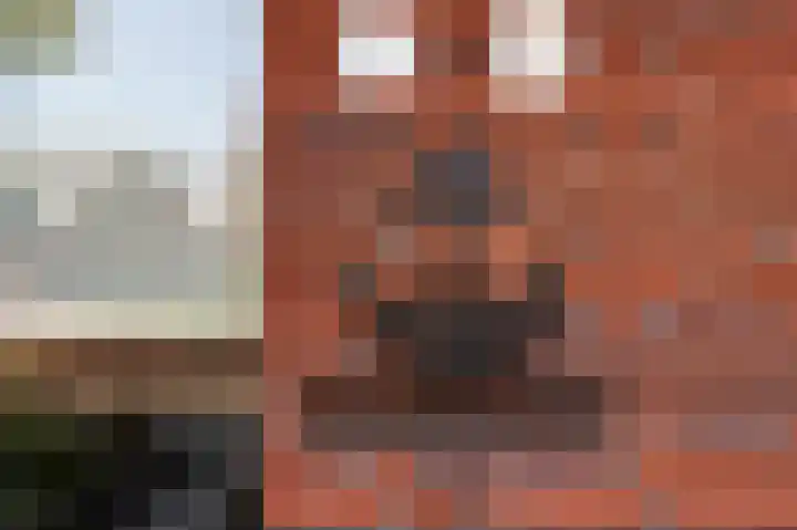 Bethesdahof 7 Laag-Soeren thumbnail 8
