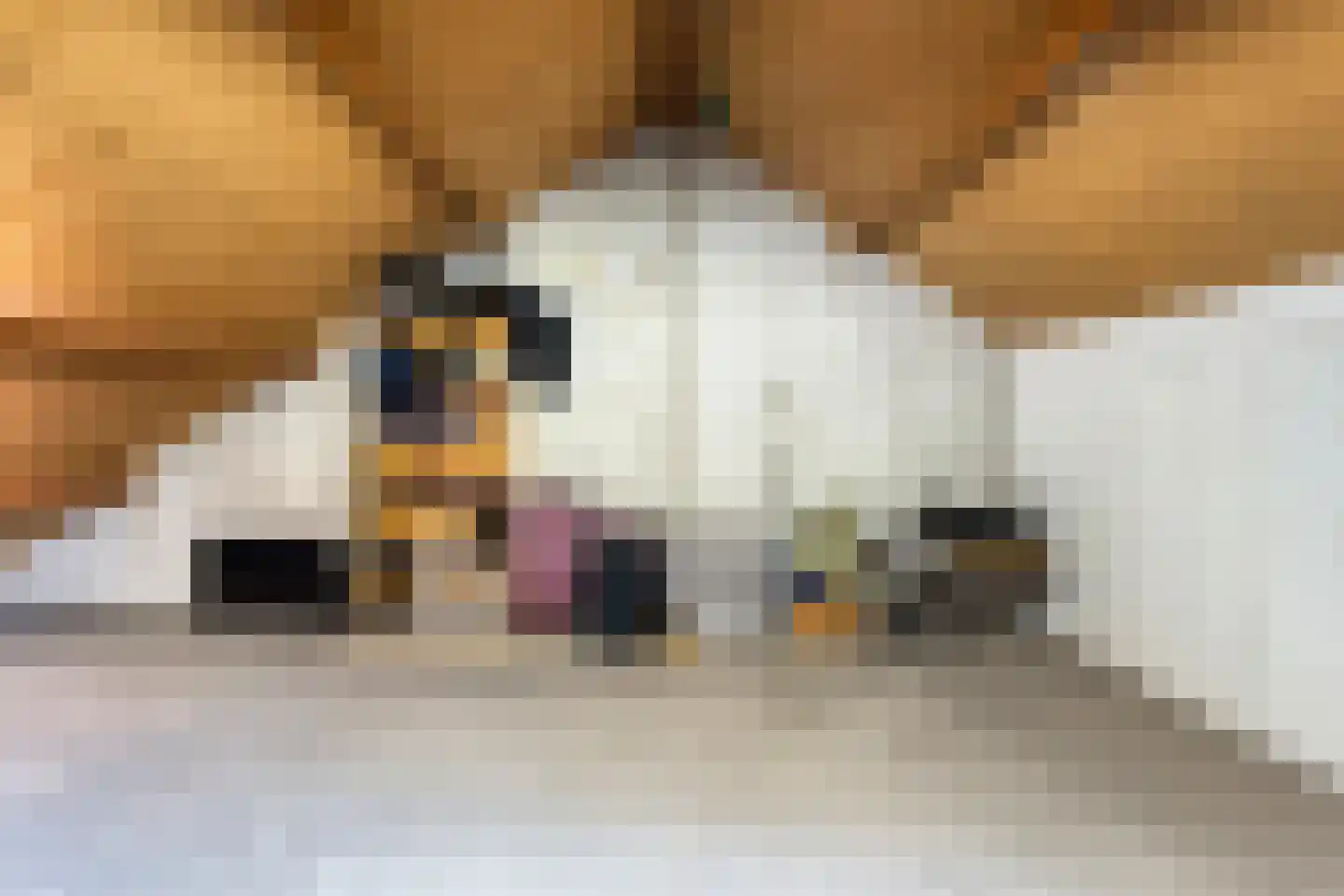 Bethesdastraat 89 Hoogeveen thumbnail 36