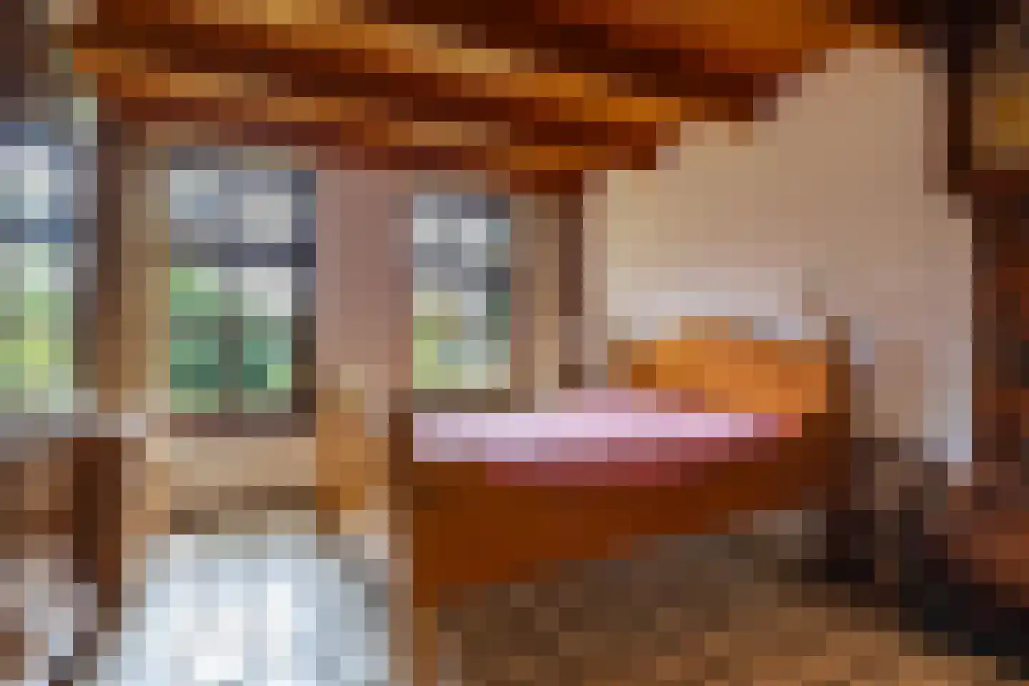 Bethlehemsreed 27 Boelenslaan thumbnail 25