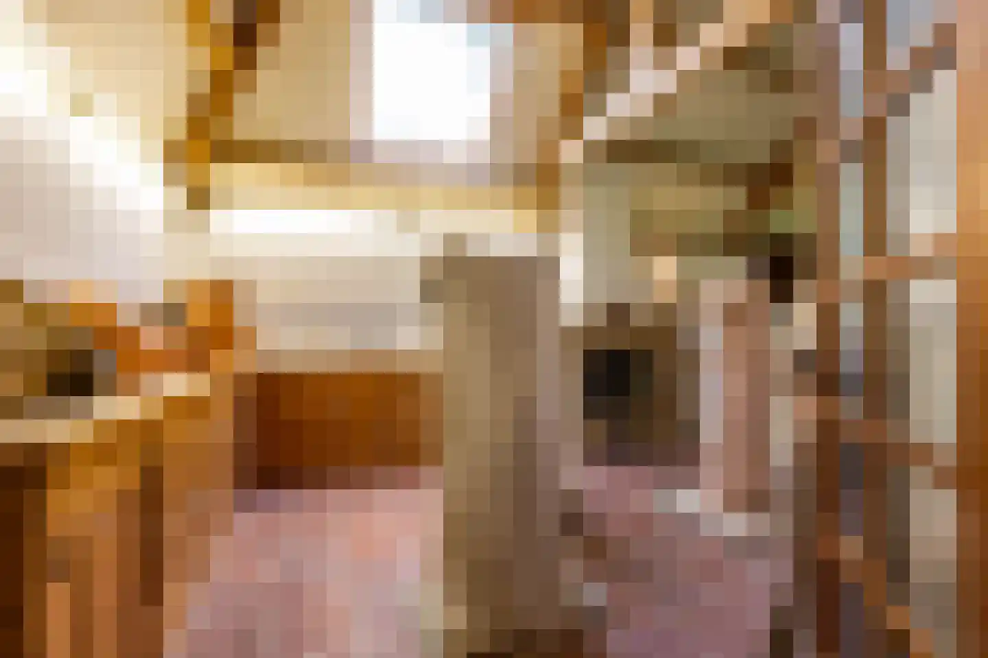 Bethlehemsreed 27 Boelenslaan thumbnail 38