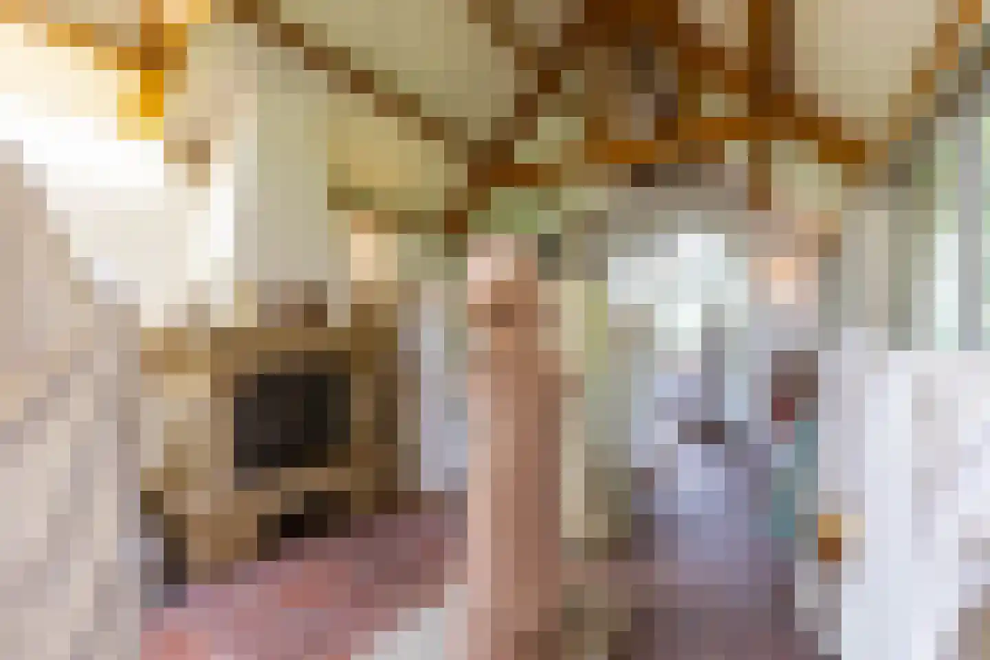 Bethlehemsreed 27 Boelenslaan thumbnail 39