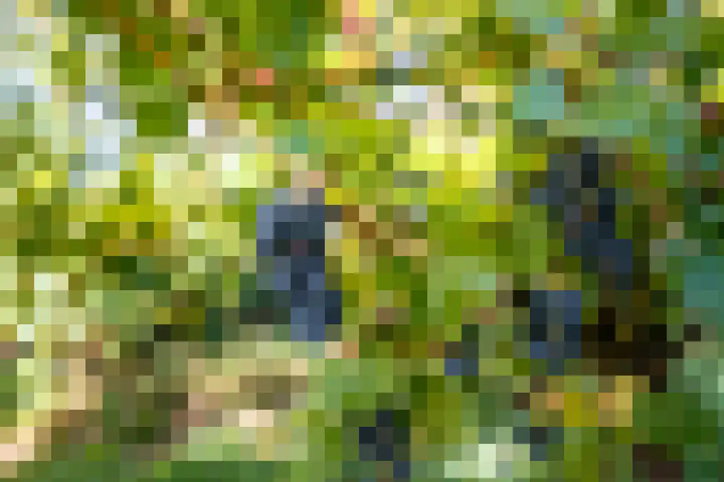 Bethlehemsreed 27 Boelenslaan thumbnail 4