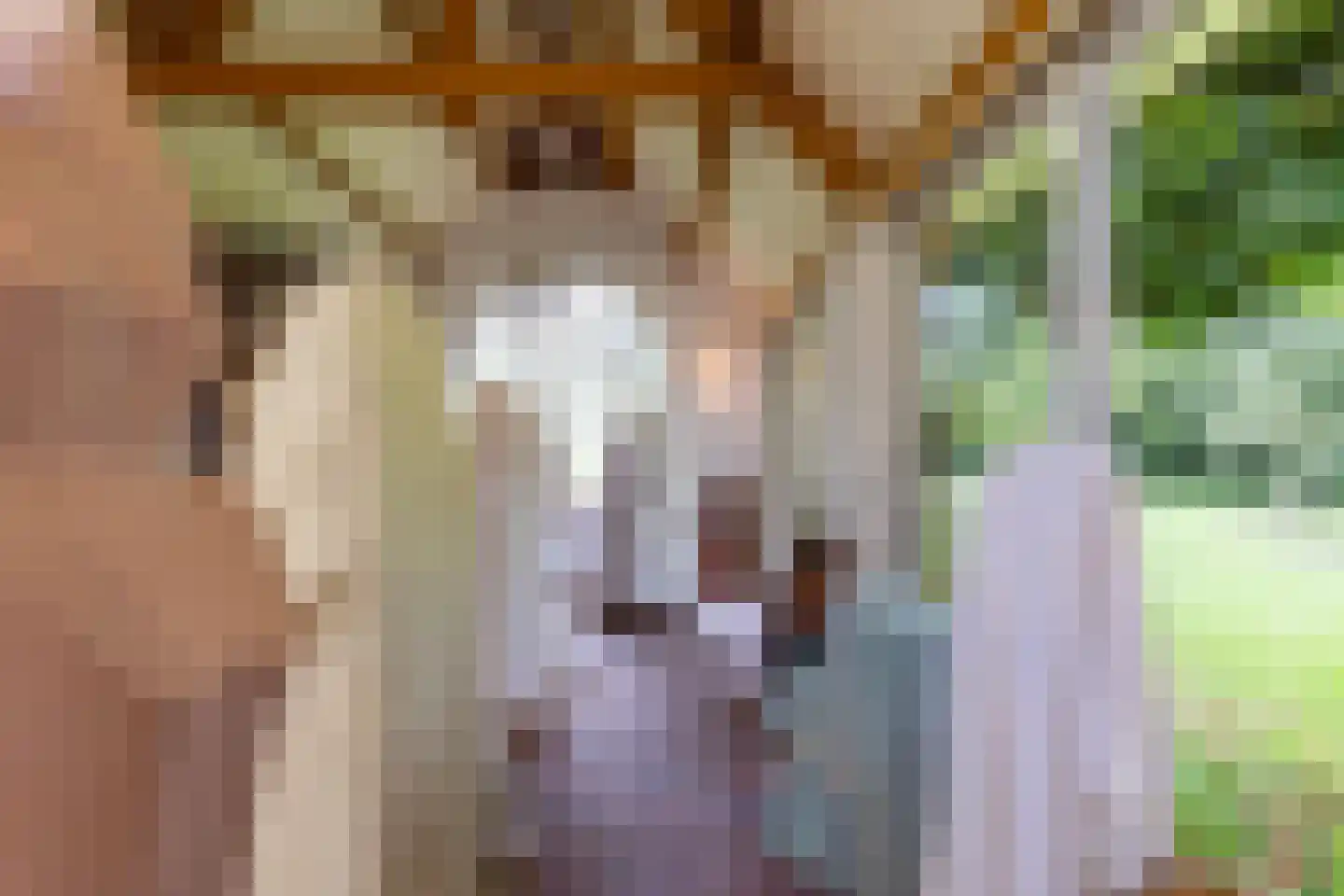 Bethlehemsreed 27 Boelenslaan thumbnail 40
