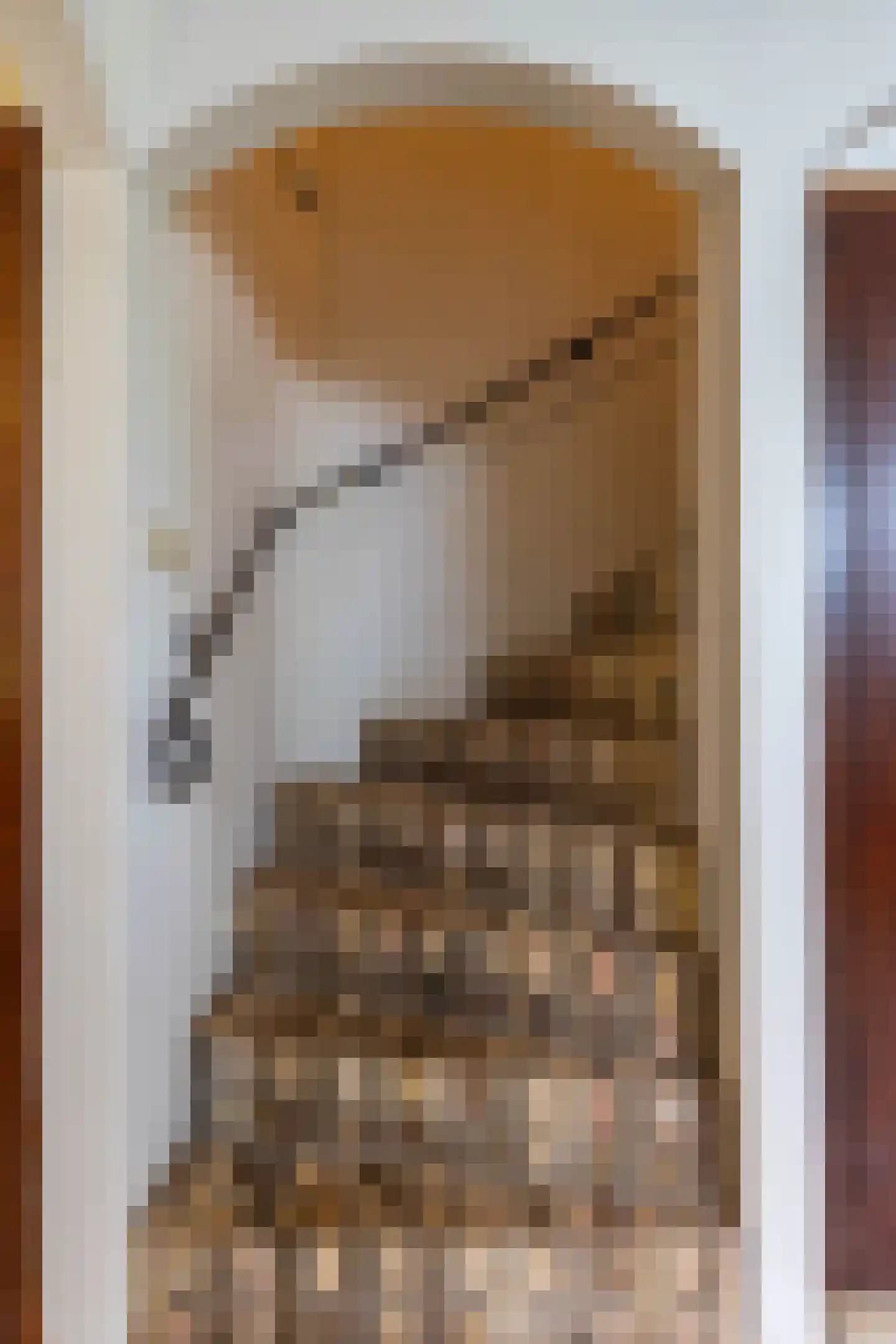 Bethlehemsreed 27 Boelenslaan thumbnail 44