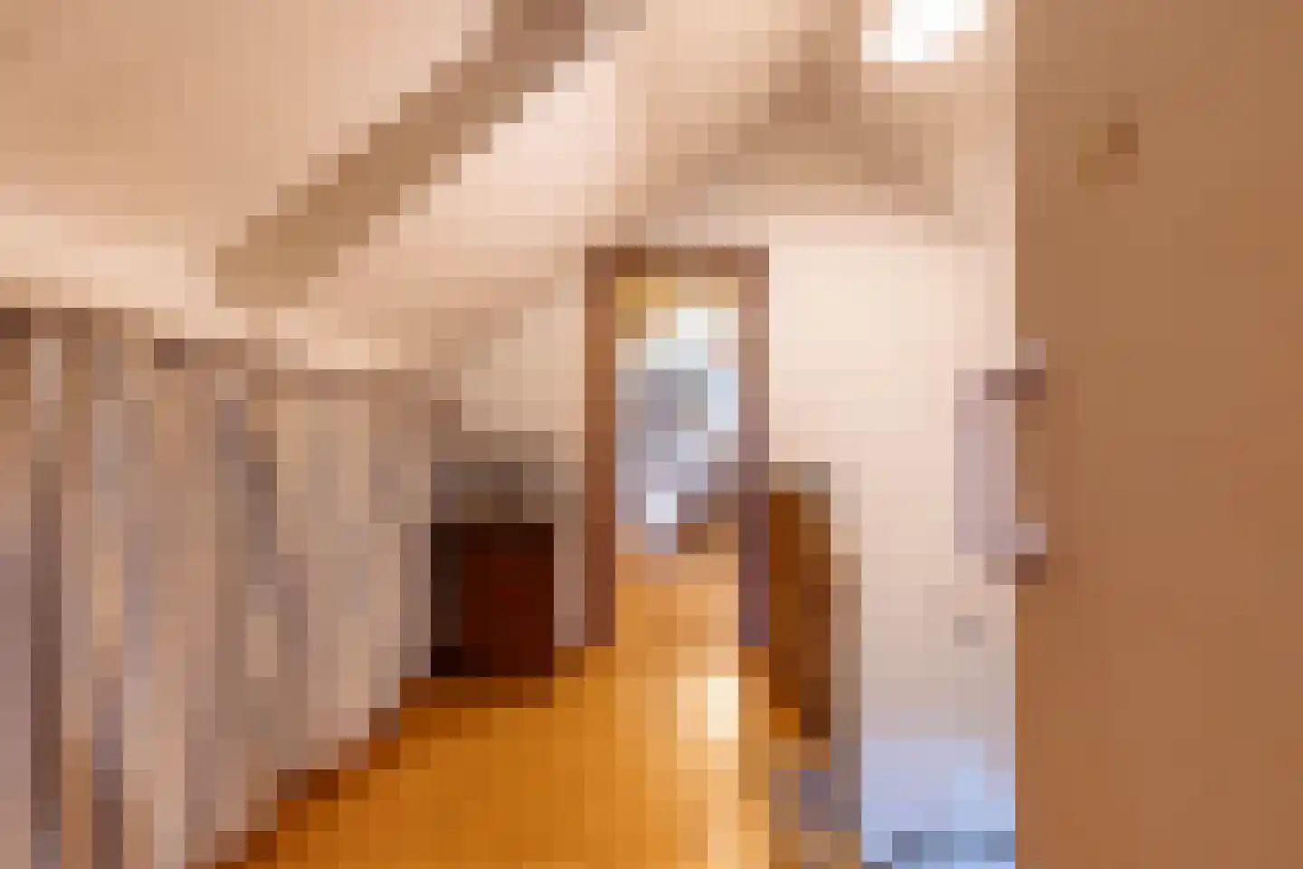 Bethlehemsreed 27 Boelenslaan thumbnail 45
