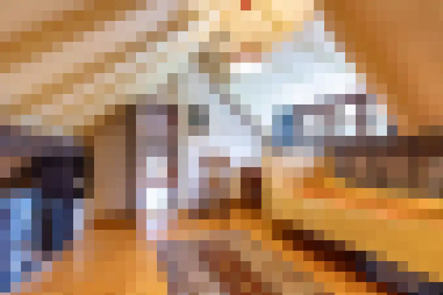 Bethlehemsreed 27 Boelenslaan thumbnail 49