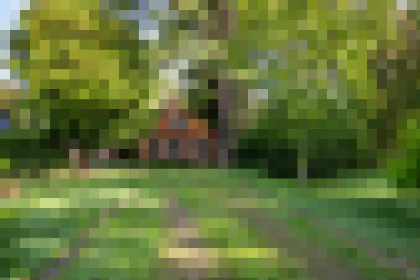 Bethlehemsreed 27 Boelenslaan thumbnail 5