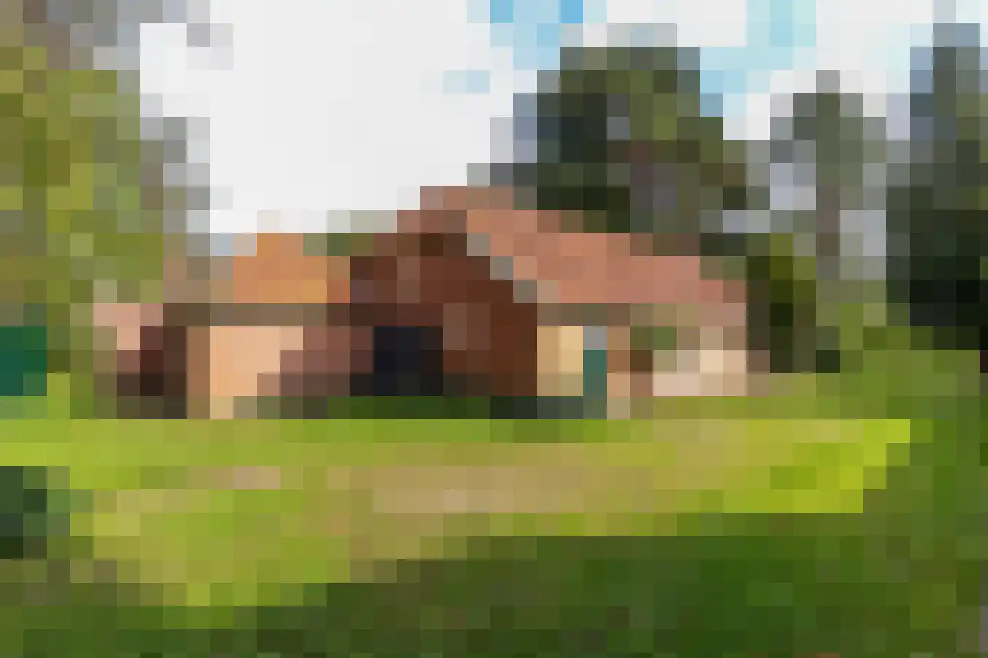 Bethlehemsreed 27 Boelenslaan thumbnail 60