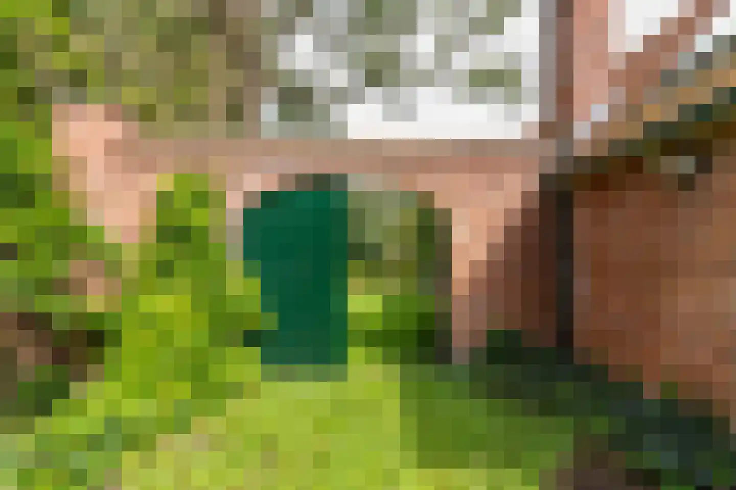 Bethlehemsreed 27 Boelenslaan thumbnail 61
