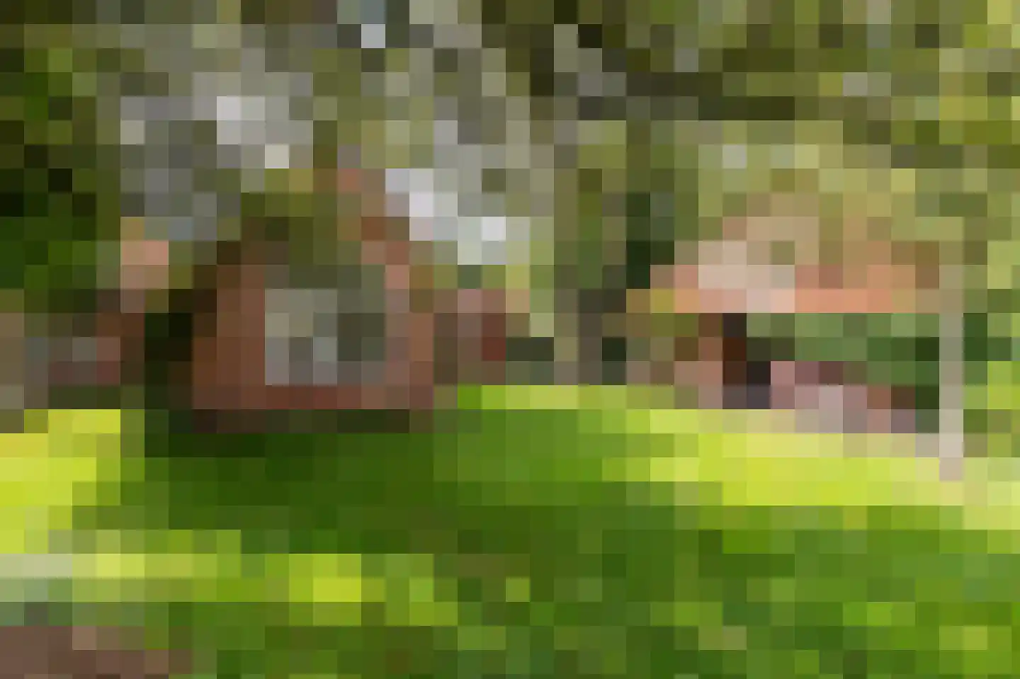 Bethlehemsreed 27 Boelenslaan thumbnail 63