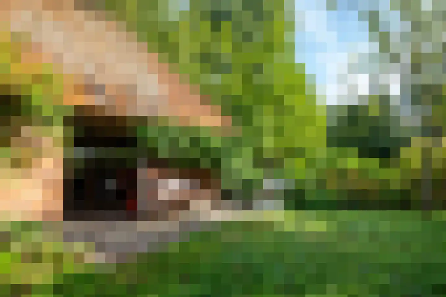 Bethlehemsreed 27 Boelenslaan thumbnail 64