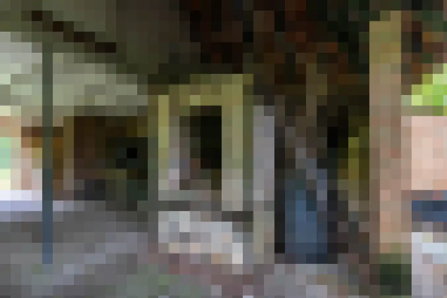 Bethlehemsreed 27 Boelenslaan thumbnail 65