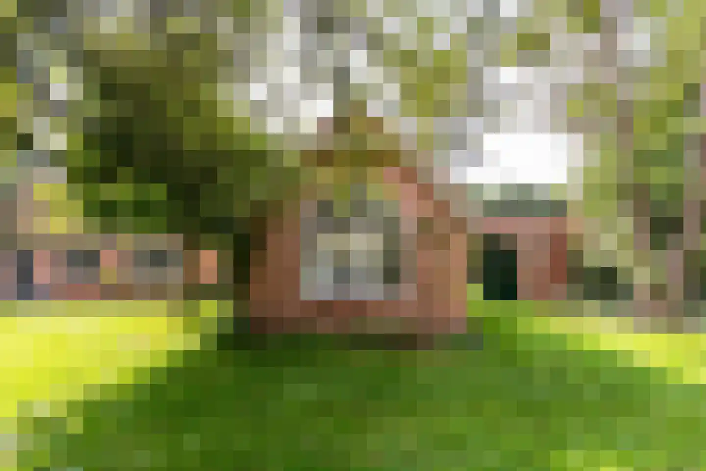 Bethlehemsreed 27 Boelenslaan thumbnail 66
