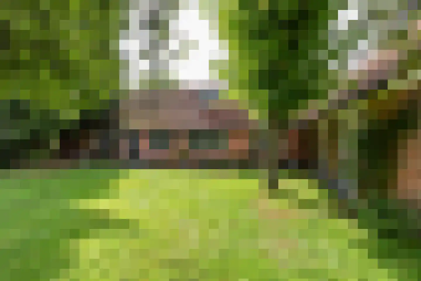 Bethlehemsreed 27 Boelenslaan thumbnail 67