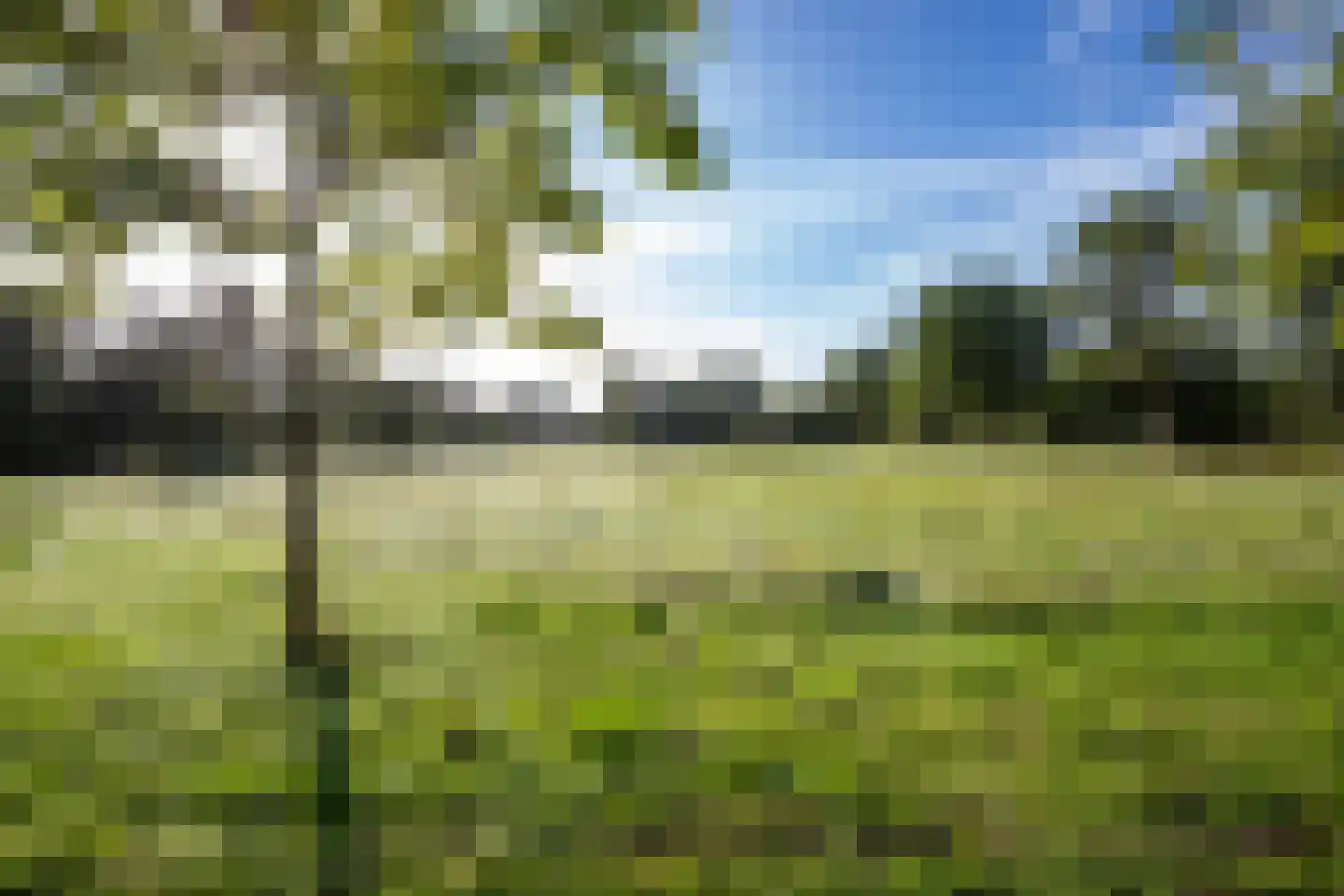 Bethlehemsreed 27 Boelenslaan thumbnail 70
