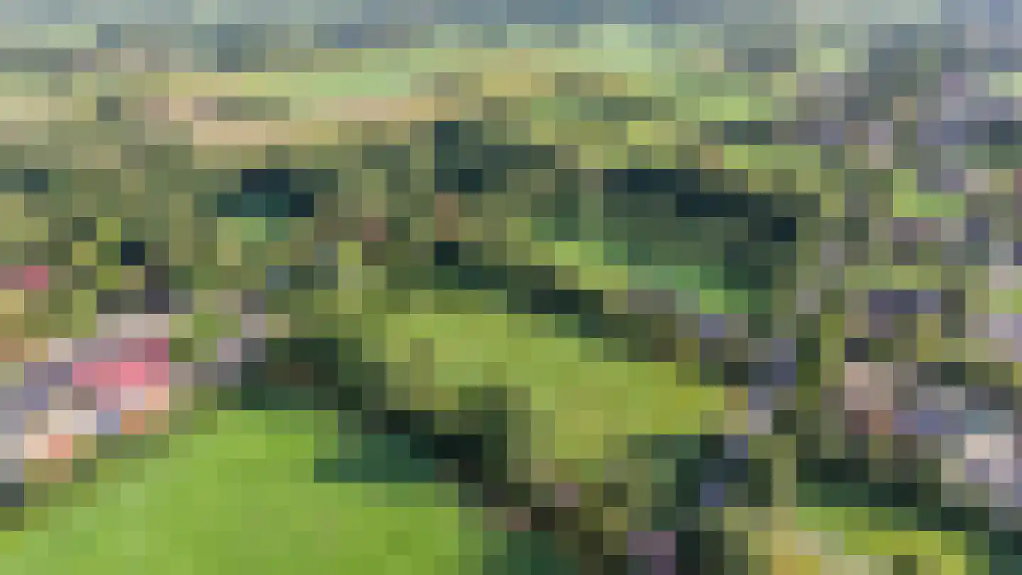 Bethlehemsreed 27 Boelenslaan thumbnail 71