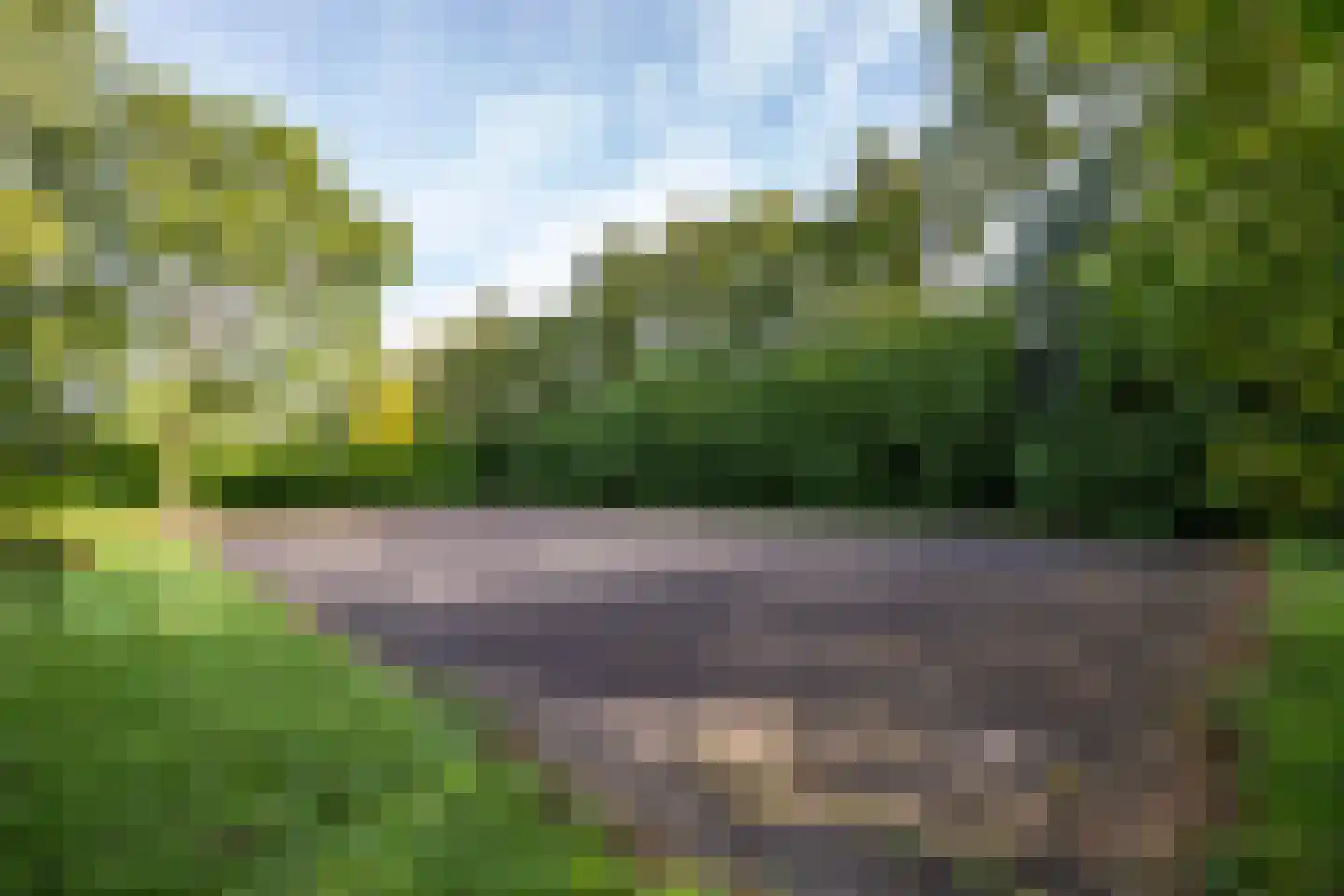 Bethlehemsreed 27 Boelenslaan thumbnail 83