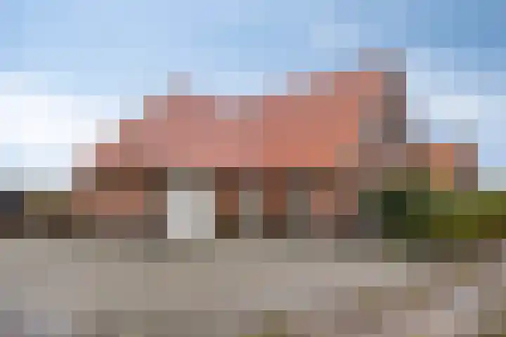 Bethlehemsreed 7 Boelenslaan