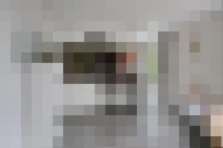 Bethlehemsreed 7 Boelenslaan thumbnail 10