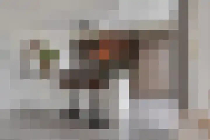 Bethlehemsreed 7 Boelenslaan thumbnail 11
