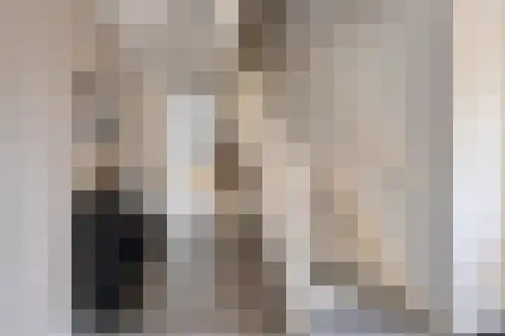 Bethlehemsreed 7 Boelenslaan thumbnail 14