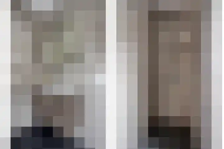 Bethlehemsreed 7 Boelenslaan thumbnail 17