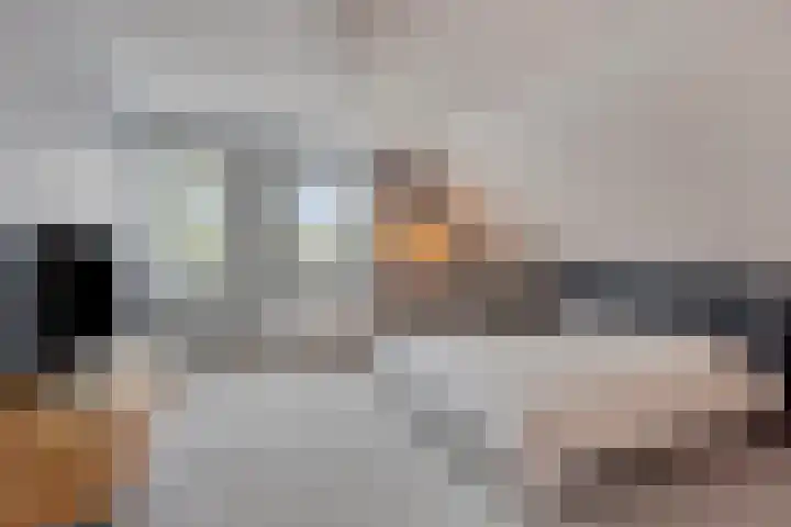 Bethlehemsreed 7 Boelenslaan thumbnail 18