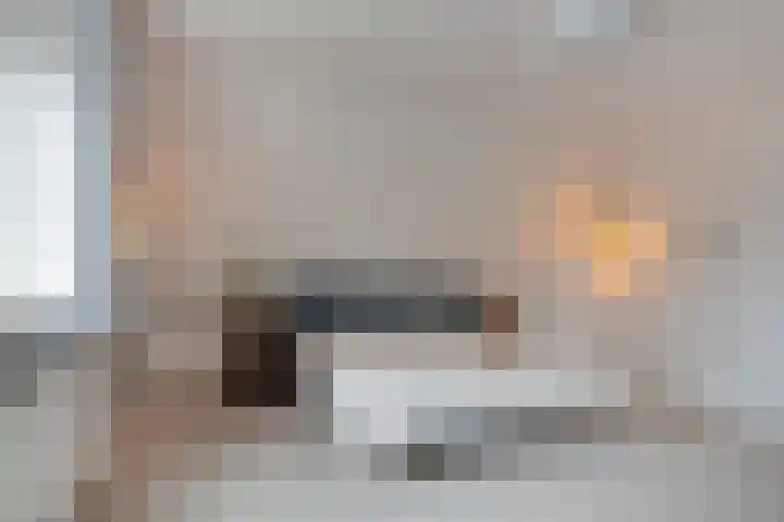 Bethlehemsreed 7 Boelenslaan thumbnail 19