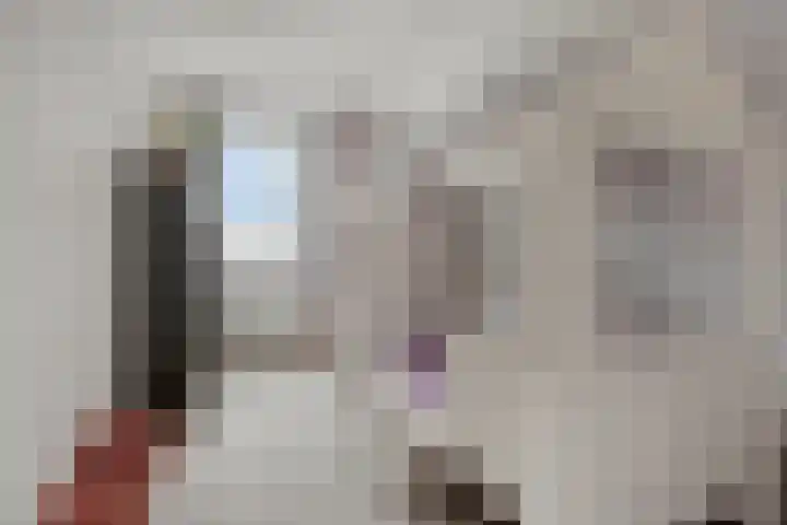 Bethlehemsreed 7 Boelenslaan thumbnail 21